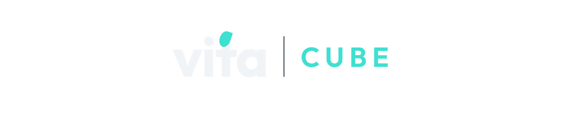 The Vita Cube